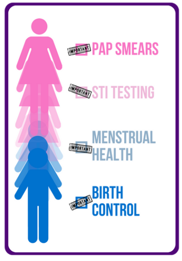 OB/GYN for the Modern Man: Why Gynecology for Trans Men is So Important ...