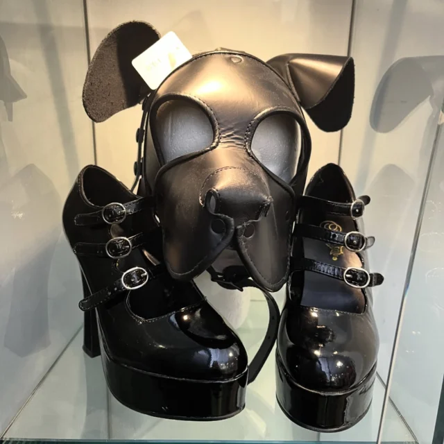 Woof! We have some fabulous leather goods at our Northalsted store just in time for IML weekend! Come see what we’ve got & have a safe, fabulous weekend! 🏳️‍⚧️🐘🏳️‍🌈 #brownelephant #northalsted #iml #leather #kink #lgbtq #chicagothrifting #internationalmrleather #bdsm #chicago